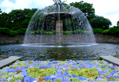 紫陽花フローティングと噴水