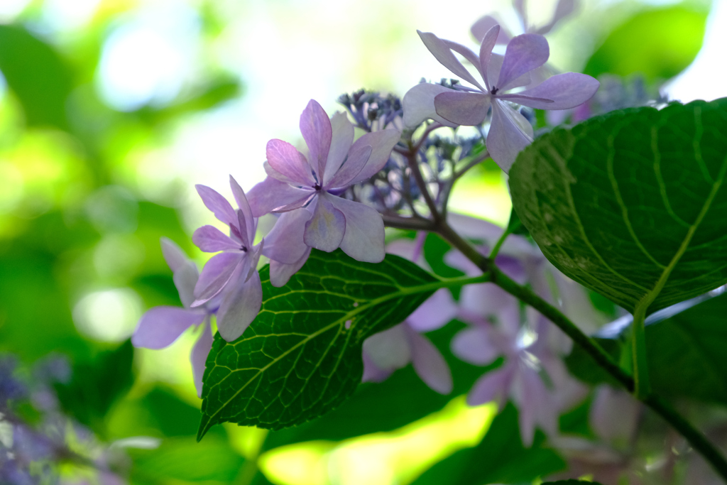 ダンスパーティーの後半