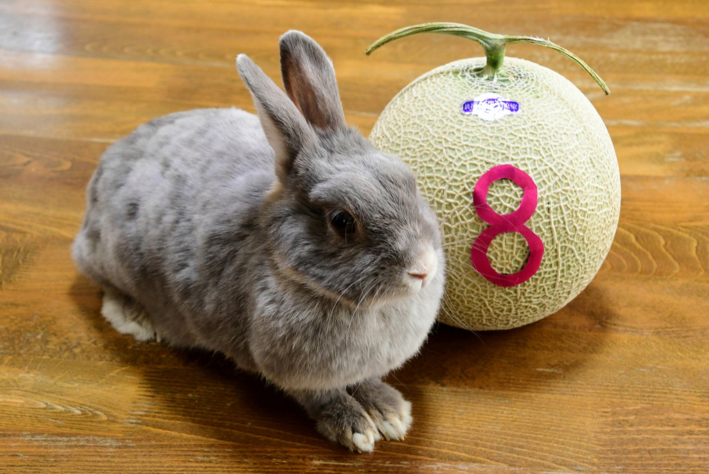 ポロリ8歳に