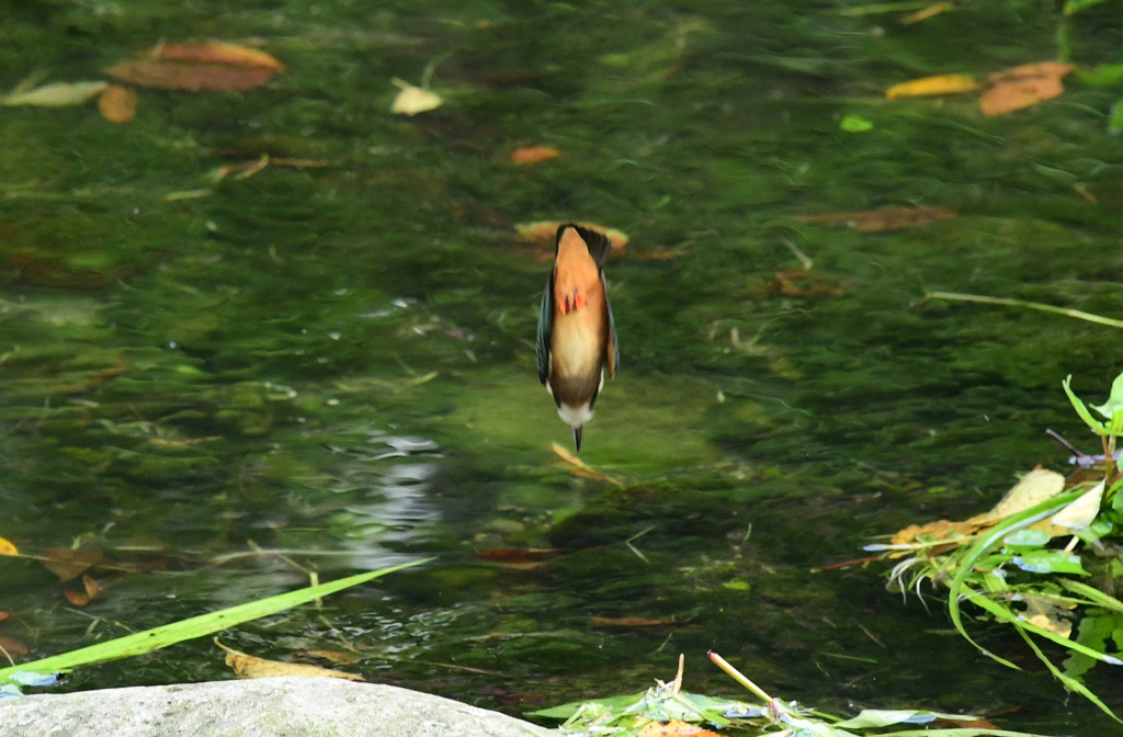 連続写真３