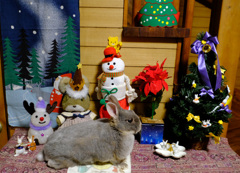 今年もにぎやかね