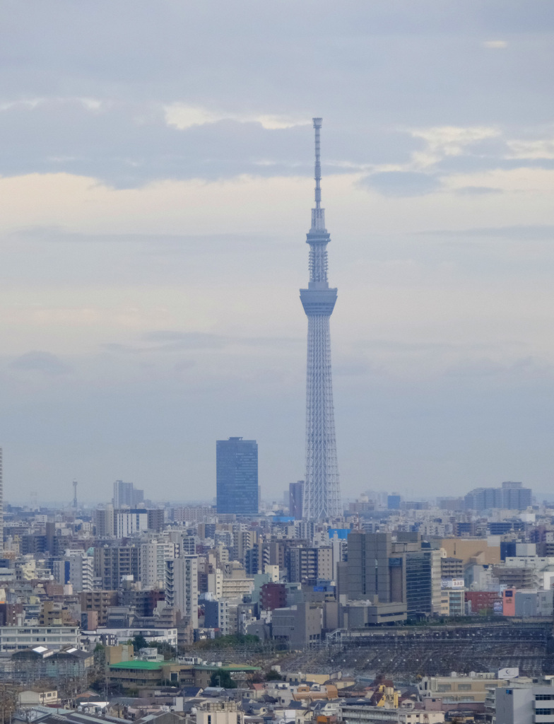 スカイツリーが見えます