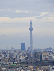 スカイツリーが見えます