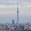 スカイツリーが見えます