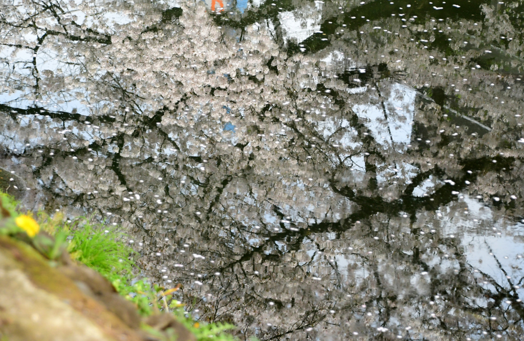映る浮かぶ