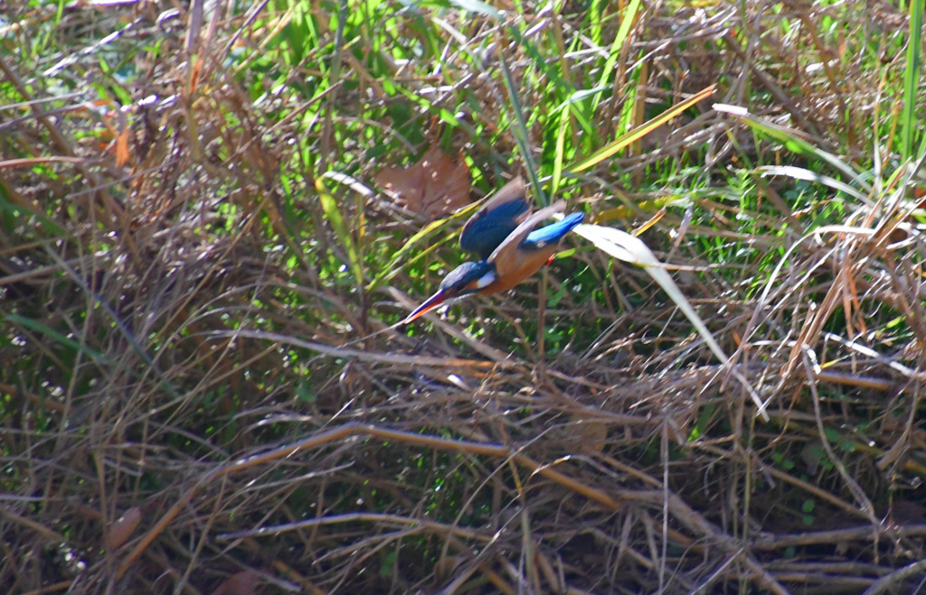 さて、行くわよー