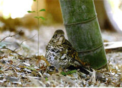 フォトコン入賞