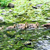 どんどん移動