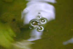 なんじゃこれ？