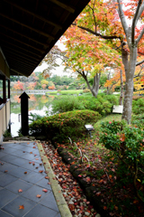 散紅葉も