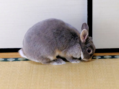 こんにちは～