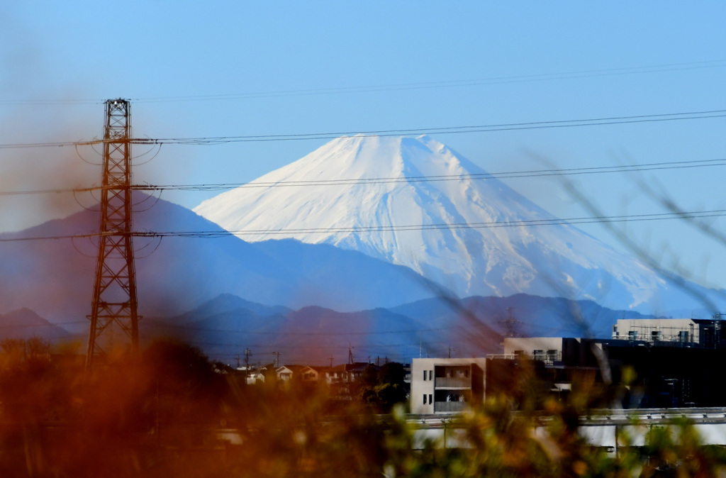 雪柳を前ボケに