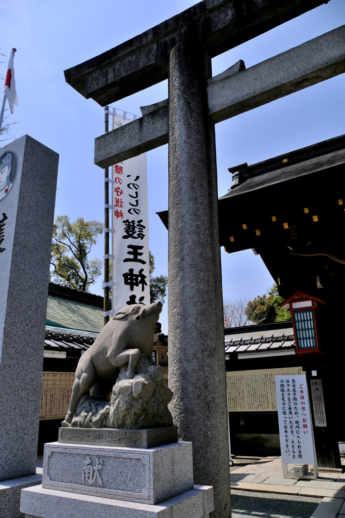 狛イノシシ