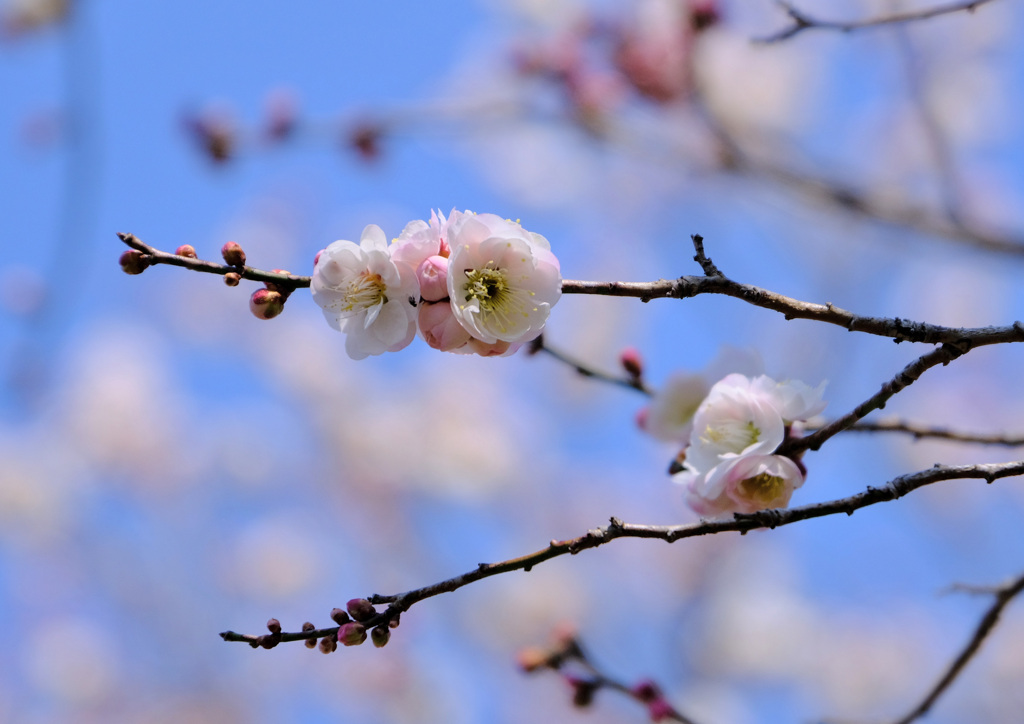 青空に