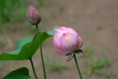 7月3日の12時