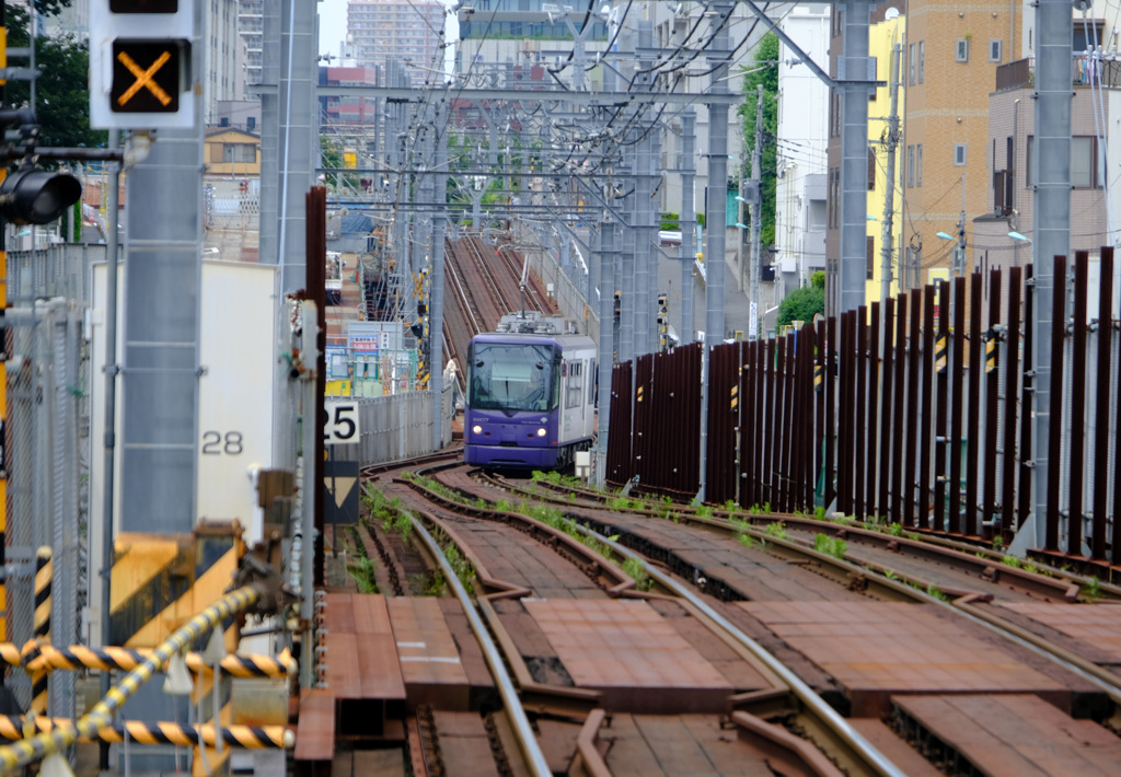 都電サクラトラム