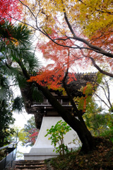 錦秋の白き鐘楼