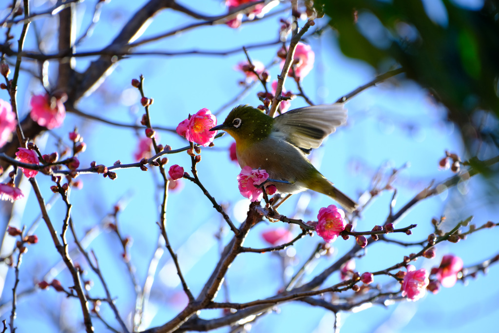 飛び散る