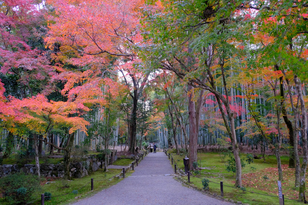 地蔵院