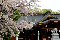桜散る散る