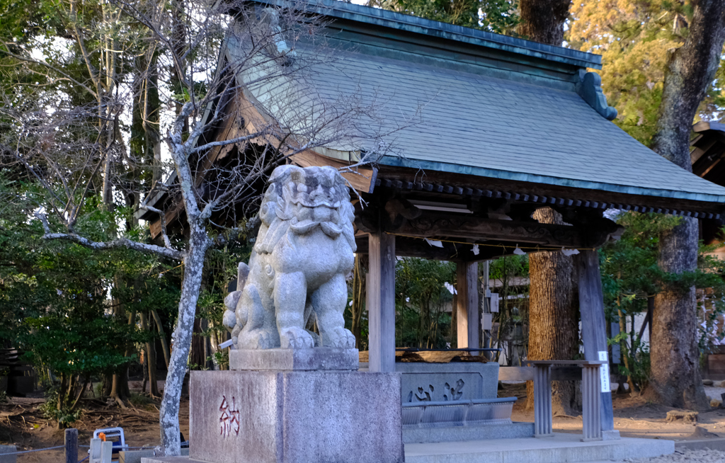 常磐神社の狛犬