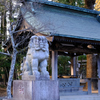 常磐神社の狛犬