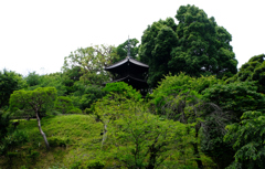 三重塔を見上げる