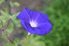 ４日5時台