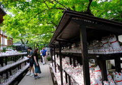 豪徳寺の招き猫