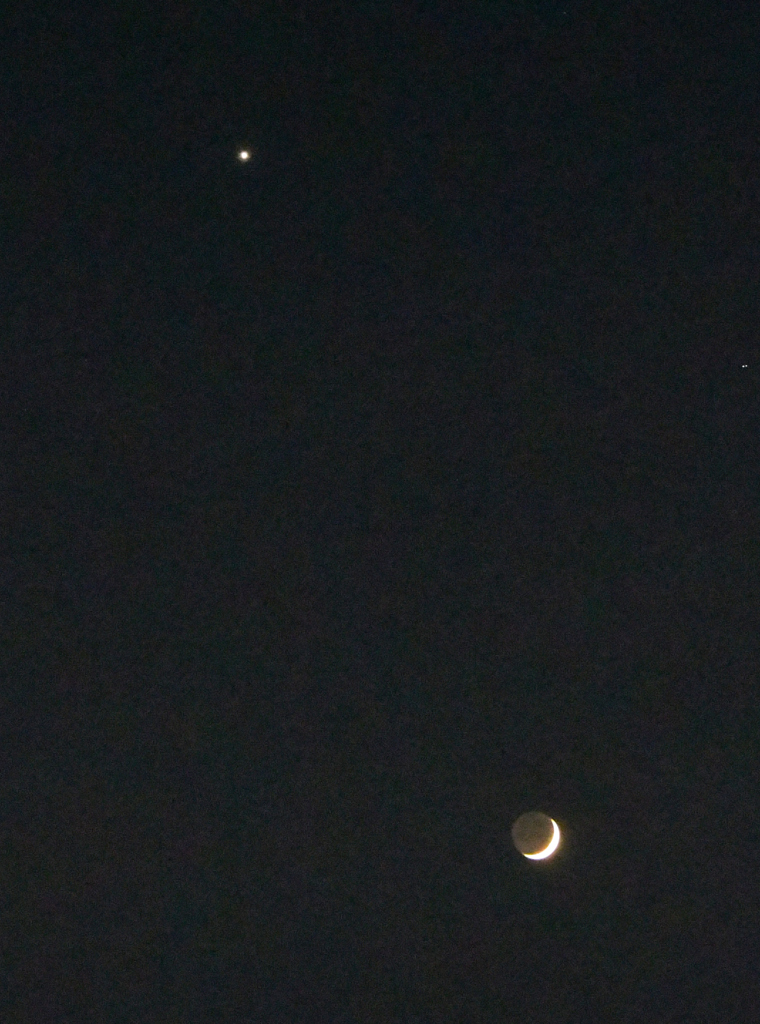 細い三日月と金星12月4日