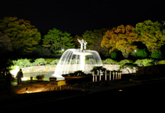夜の噴水