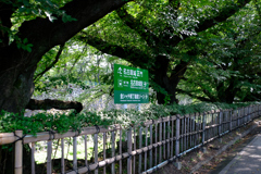 お堀