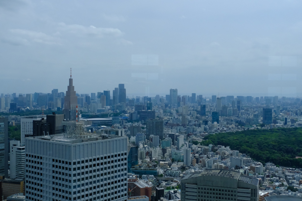 南展望室からの明治神宮