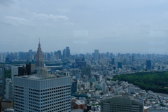 南展望室からの明治神宮