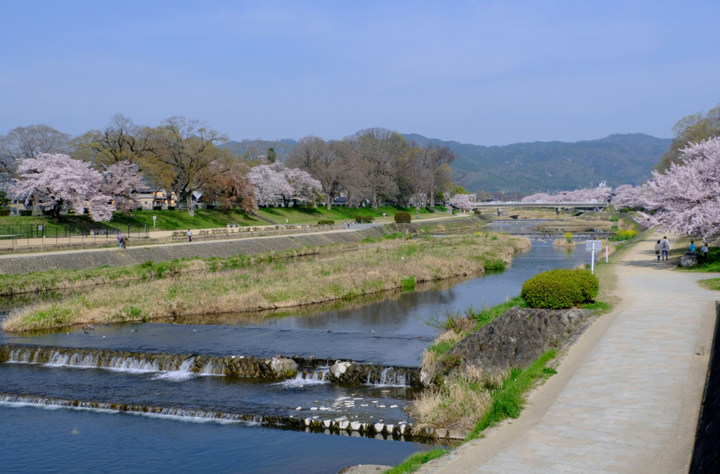 北山大橋から上流を