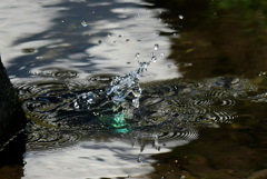 ６水の中