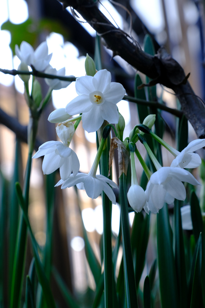 12月7日