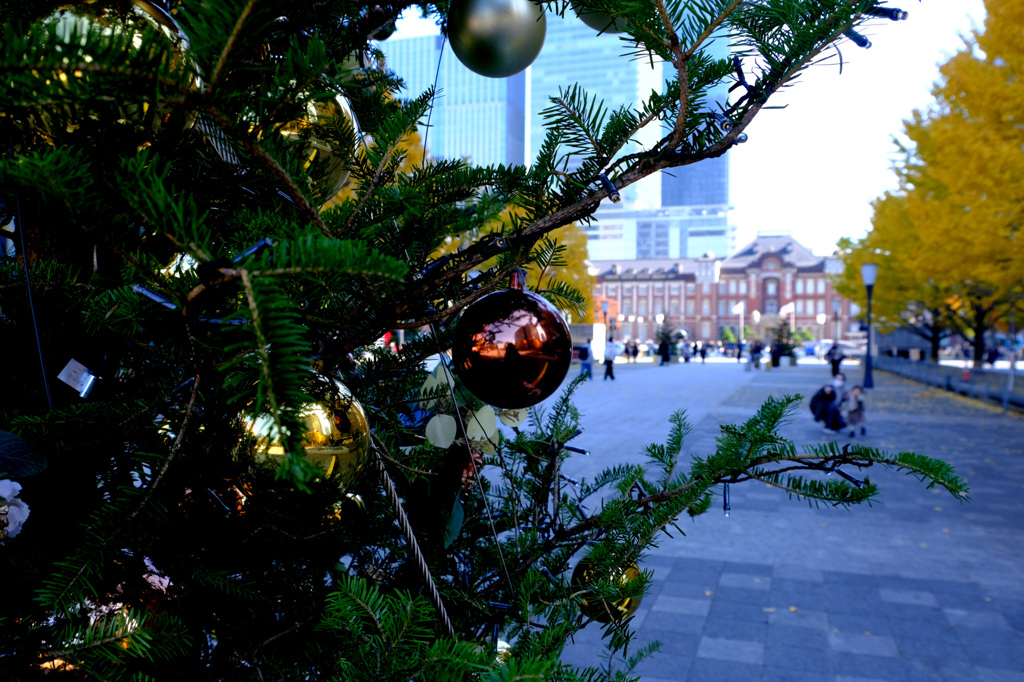 ツリーと東京駅