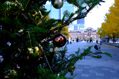 ツリーと東京駅