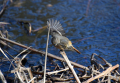 えーい、まるくないわい