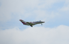 ブリティッシュ・エアロスペース BAe-125HS-125 (C-29)