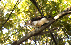 緊張しているのは