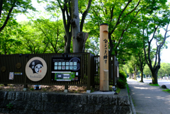 金シャチ横丁