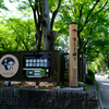 金シャチ横丁
