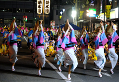 阿波踊り4