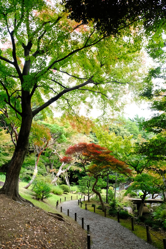 紅葉はもう少し