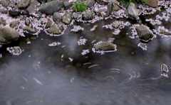 ゆっくり流れる