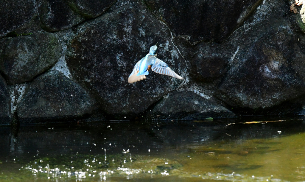 あがってきた