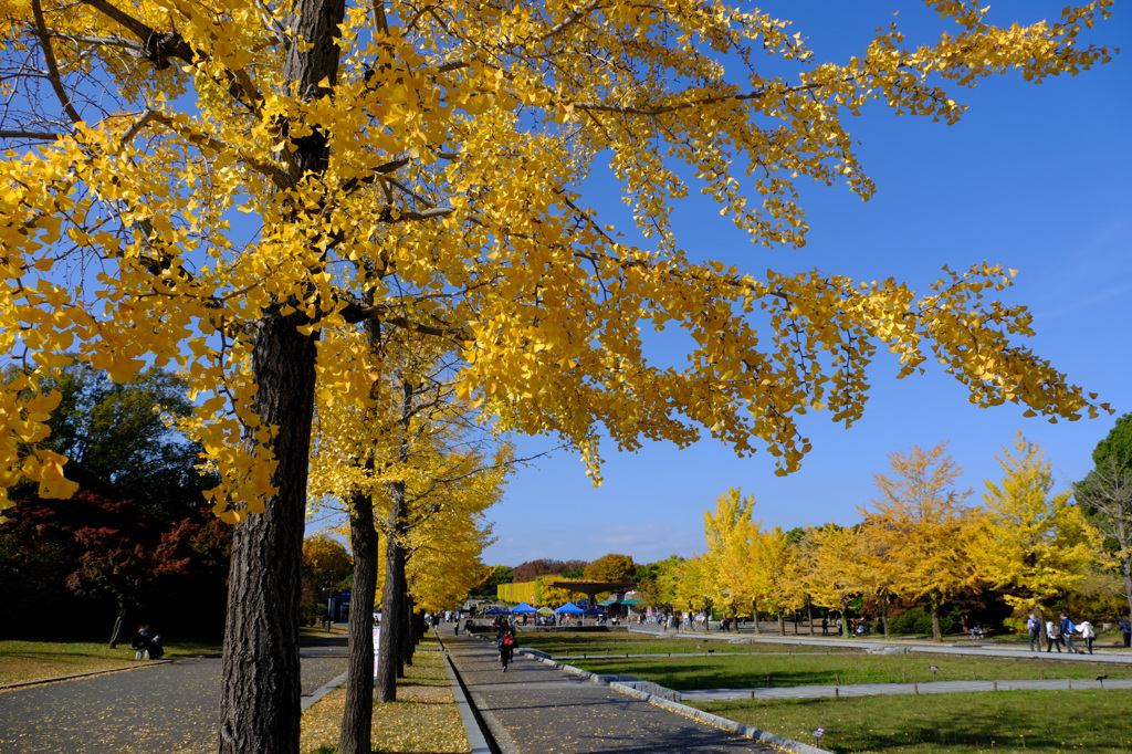 ここが一番早い
