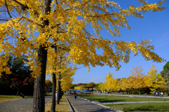 ここが一番早い